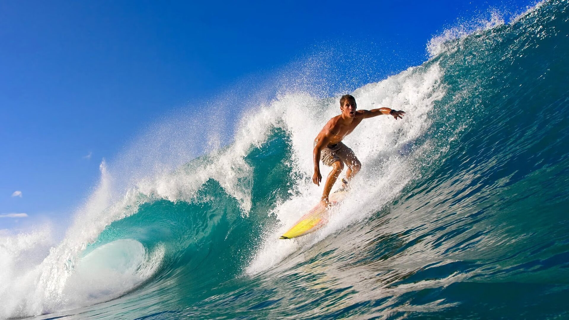 世界杯2026-美加墨世界杯之夜，西亚卡姆，从非洲大陆到世界之巅的篮球史诗